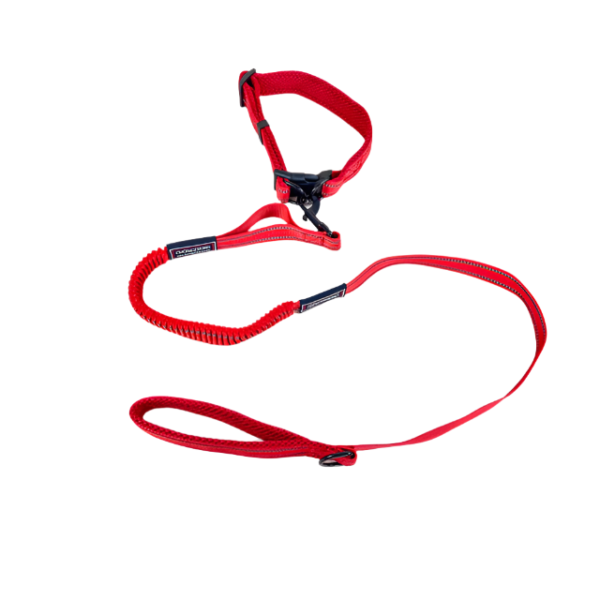 Pružné vodítko s obojkem (vodítko 115 cm, obojek 35-55cm) - Obrázek 37