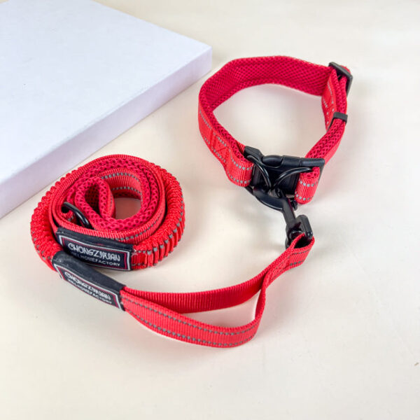 Pružné vodítko s obojkem (vodítko 115 cm, obojek 35-55cm) - Obrázek 24