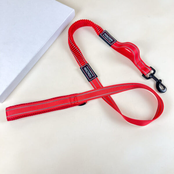 Pružné vodítko s obojkem (vodítko 115 cm, obojek 35-55cm) - Obrázek 27