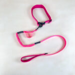 Pružné vodítko s obojkem (vodítko 115 cm, obojek 35-55cm) - Obrázek 28