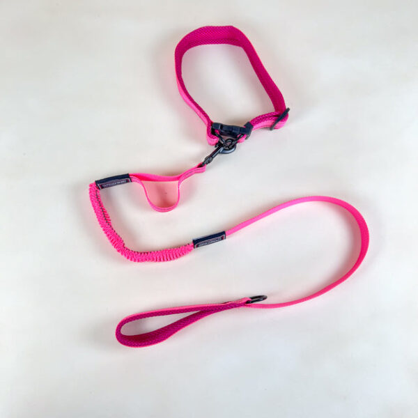 Pružné vodítko s obojkem (vodítko 115 cm, obojek 35-55cm) - Obrázek 28