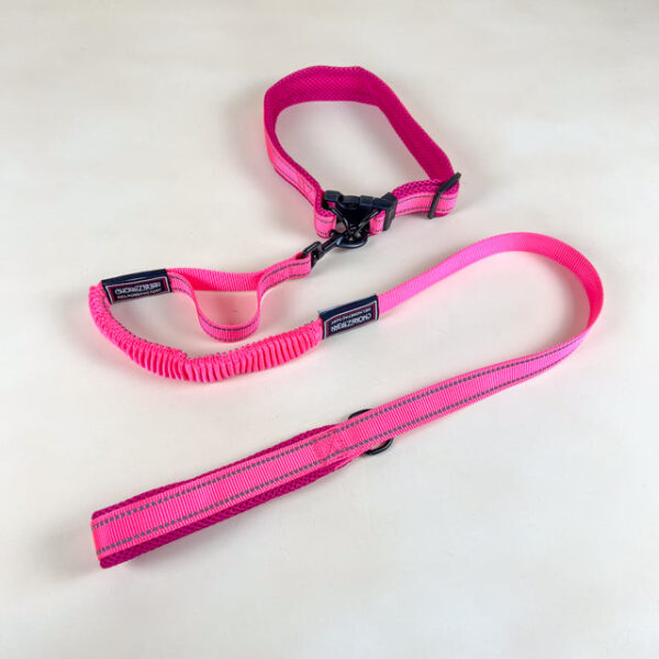 Pružné vodítko s obojkem (vodítko 115 cm, obojek 35-55cm) - Obrázek 29