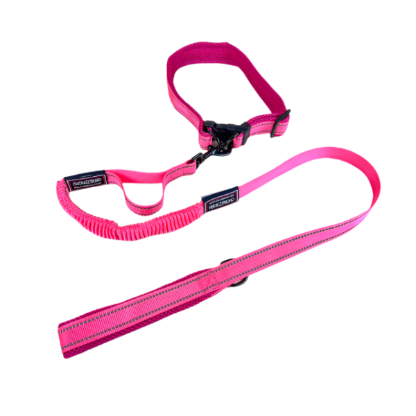 Pružné vodítko s obojkem (vodítko 115 cm, obojek 35-55cm) - Obrázek 38