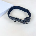 Pružné vodítko s obojkem (vodítko 115 cm, obojek 35-55cm) - Obrázek 4