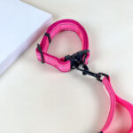 Pružné vodítko s obojkem (vodítko 115 cm, obojek 35-55cm) - Obrázek 30