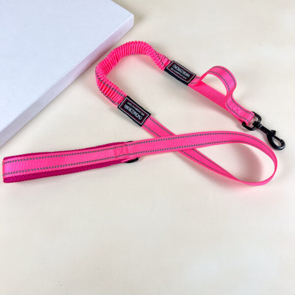 Pružné vodítko s obojkem (vodítko 115 cm, obojek 35-55cm) - Obrázek 33