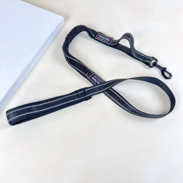 Pružné vodítko s obojkem (vodítko 115 cm, obojek 35-55cm) - Obrázek 6