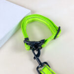 Pružné vodítko s obojkem (vodítko 115 cm, obojek 35-55cm) - Obrázek 9