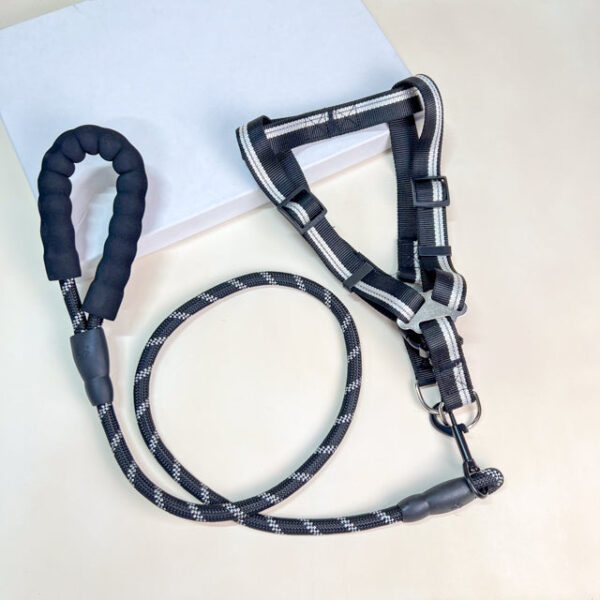 Vodítko s postrojem 46-60 cm x 115 cm - Obrázek 6