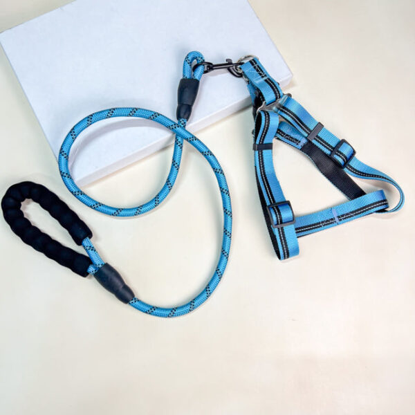 Vodítko s postrojem 46-60 cm x 115 cm - Obrázek 1