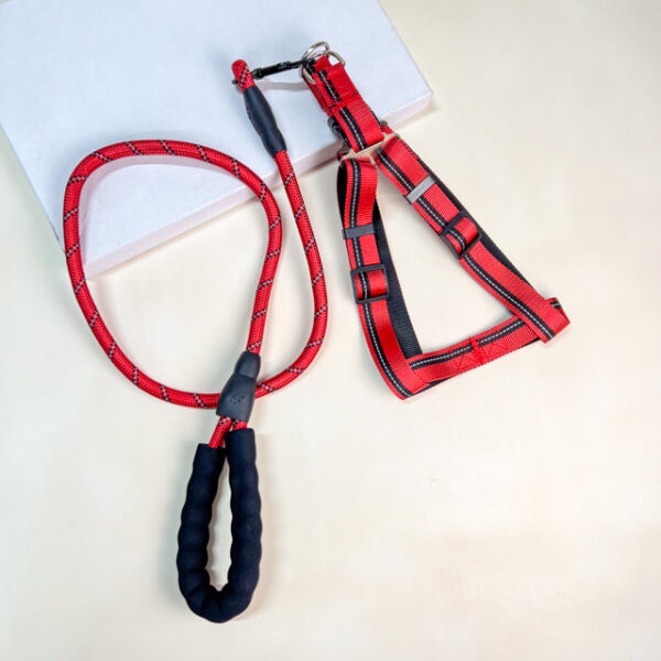 Vodítko s postrojem 46-60 cm x 115 cm - Obrázek 2