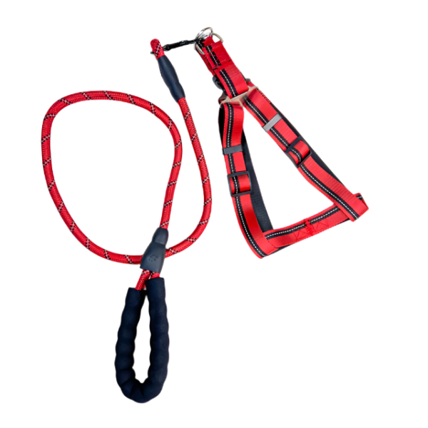 Vodítko s postrojem 46-60 cm x 115 cm - Obrázek 8