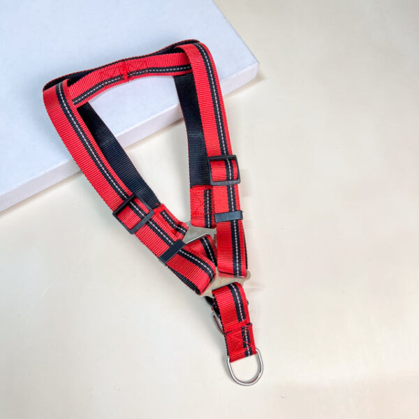 Vodítko s postrojem 46-60 cm x 115 cm - Obrázek 3