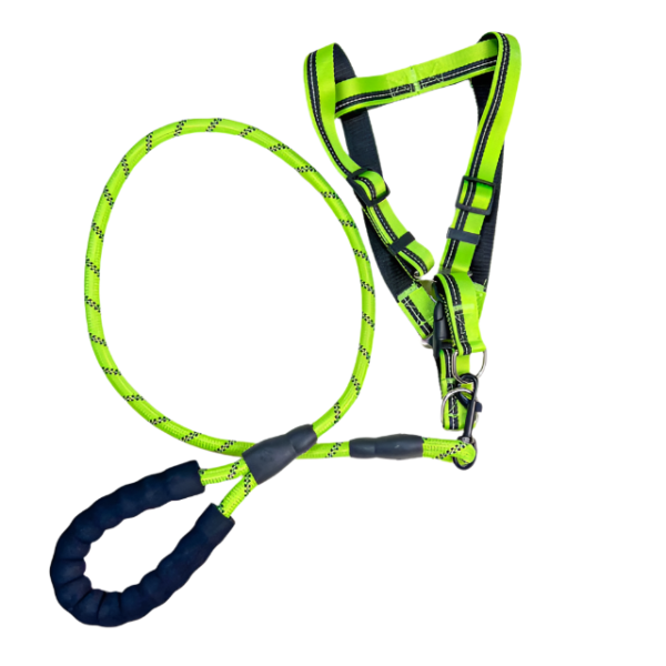 Vodítko s postrojem 46-60 cm x 115 cm - Obrázek 9