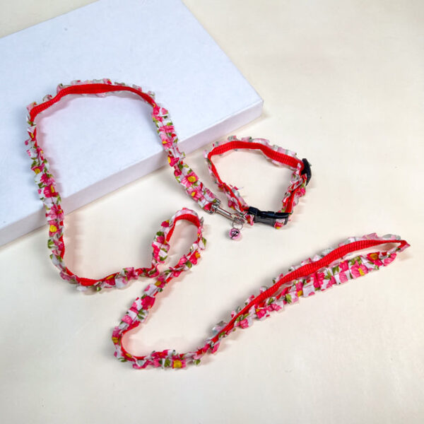 Obojek s vodítkem - Obrázek 1