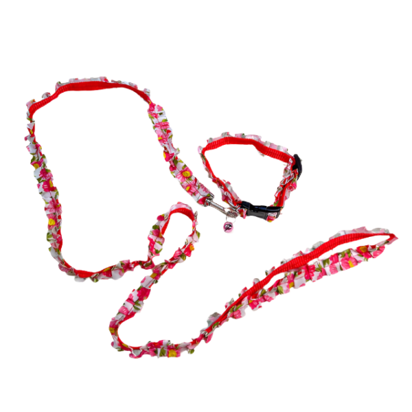 Obojek s vodítkem - Obrázek 5