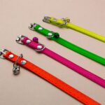 Kožený obojek 0.7x31.5 cm