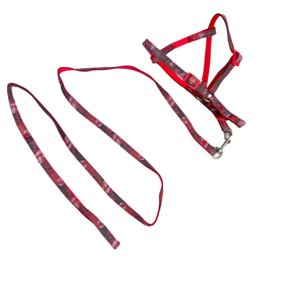 Malé reflexní vodítko s postrojem (vodítko 150 cm, obvod postroje 30-40 cm) - Obrázek 10