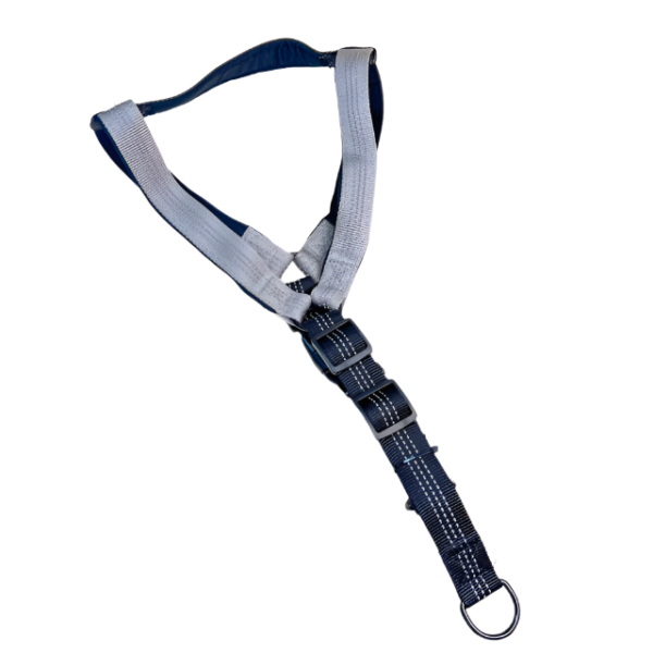 Reflexní postroj pro psy 2cm (obvod 50-60 cm) - Obrázek 10