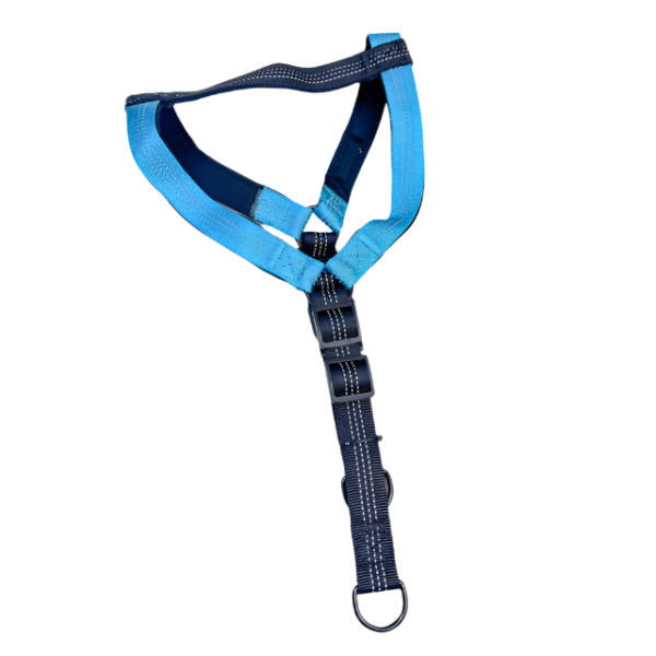 Reflexní postroj pro psy 2cm (obvod 50-60 cm) - Obrázek 9