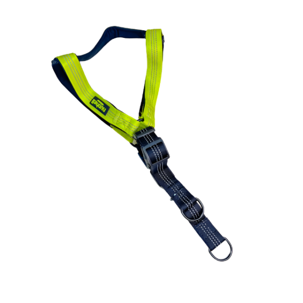 Reflexní postroj pro psy (obvod 60-80 cm) - Obrázek 7