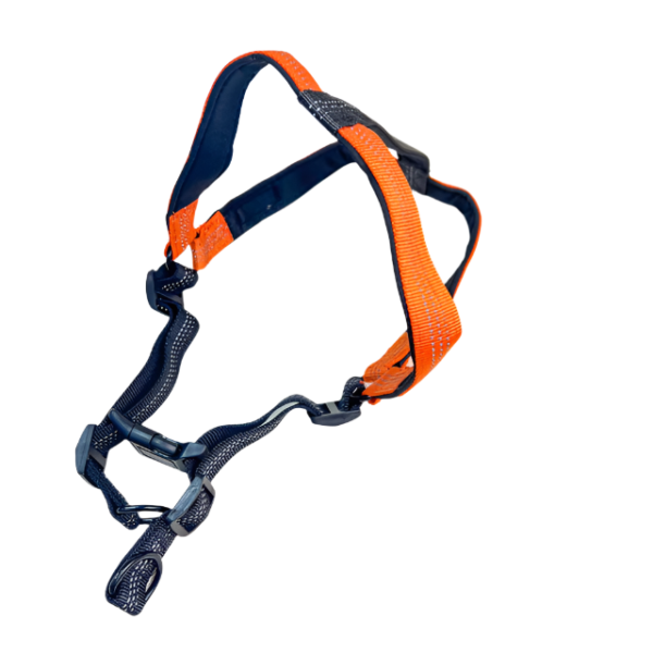 Reflexní postroj pro psy 2cm (obvod 50-60 cm) - Obrázek 8