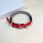 Polstrovaný reflexní obojek 2x30-43 cm - Obrázek 3