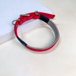 Polstrovaný reflexní obojek 2x30-43 cm - Obrázek 4