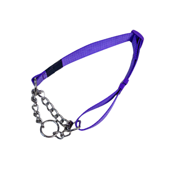 Reflexni obojek s řetězem pro psy 2x55-75 cm - Obrázek 8