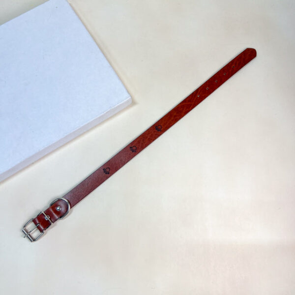 Kožený obojek pro psy s tlapkami 2cm, délka 45cm - Obrázek 1