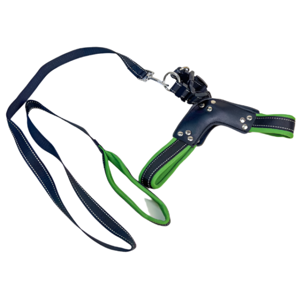 Reflexní sada vodítko a postroj - Obrázek 6