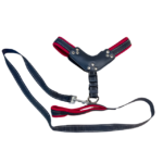 Reflexní sada vodítko a postroj - Obrázek 5