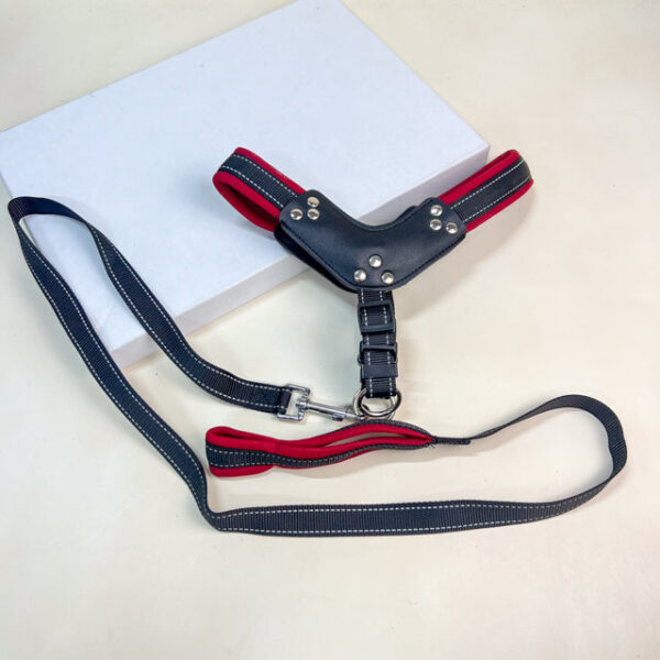 Reflexní sada vodítko a postroj - Obrázek 2