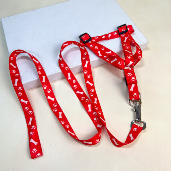 Sada vodítka s postrojem s tlapky (vodítko 120cm, postroj 30-50 cm) - Obrázek 1