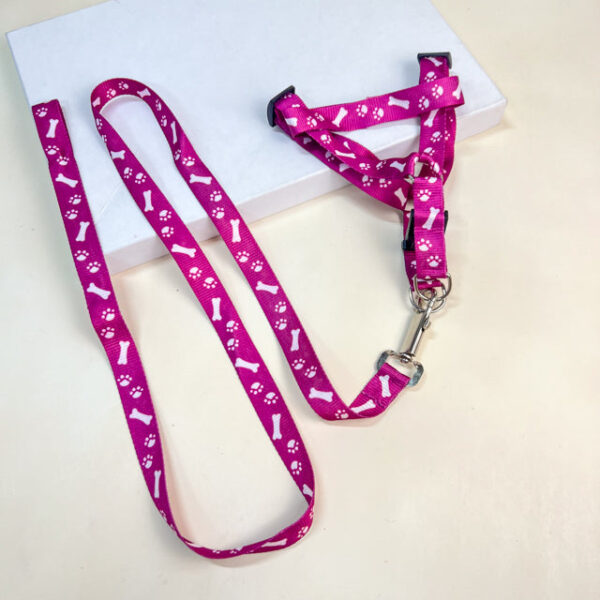 Sada vodítka s postrojem s tlapky (vodítko 120cm, postroj 30-50 cm) - Obrázek 4