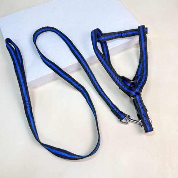 Sada vodítka s postrojem pro psy (postroje 35-50 cm) - Obrázek 1