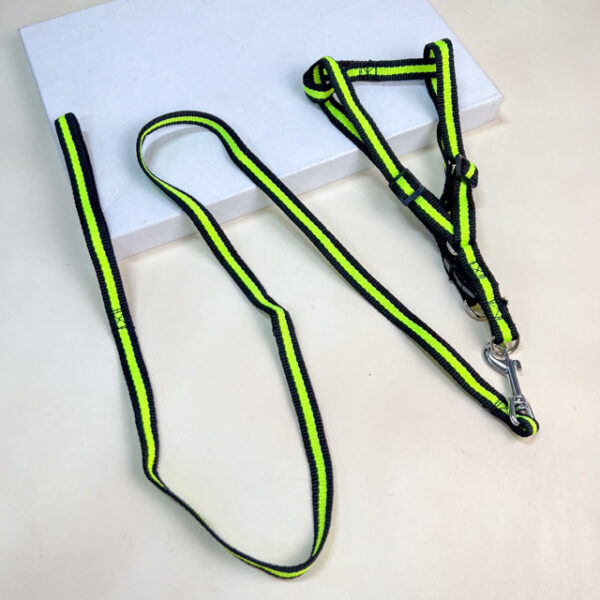 Sada vodítka s postrojem pro psy (postroje 35-50 cm) - Obrázek 2