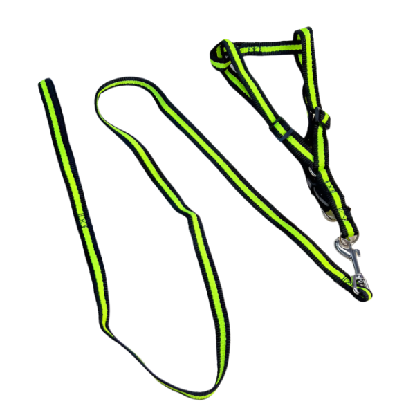 Sada vodítka s postrojem pro psy (postroje 35-50 cm) - Obrázek 5