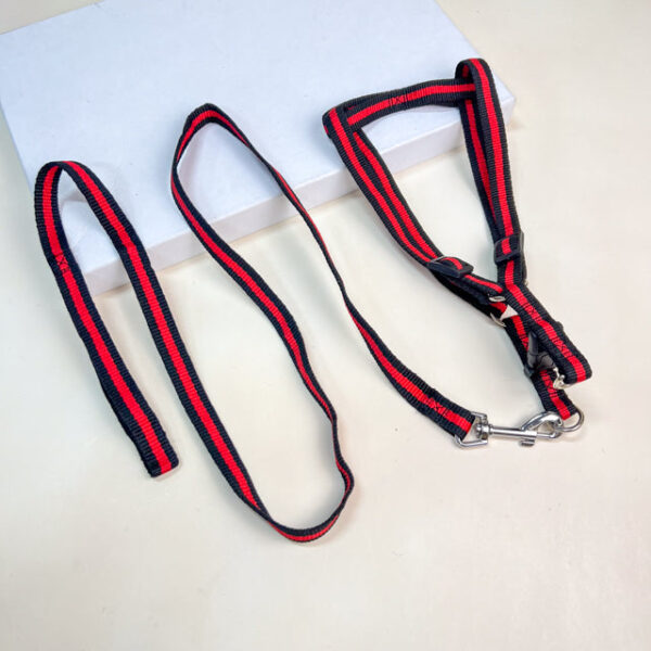 Sada vodítka s postrojem pro psy (postroje 35-50 cm) - Obrázek 3