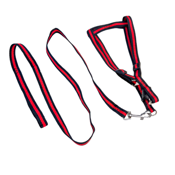 Sada vodítka s postrojem pro psy (postroje 35-50 cm) - Obrázek 6