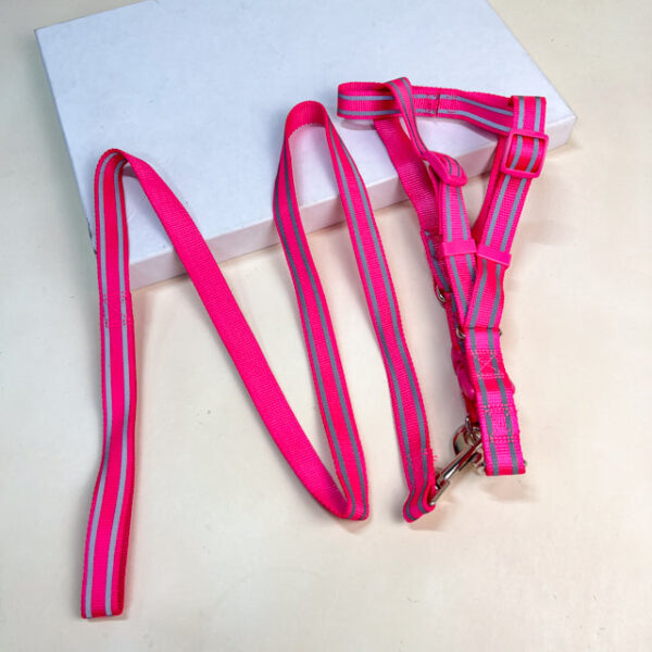 Sada reflexního vodítka s postrojem pro psy (postroj 45-55 cm) - Obrázek 5