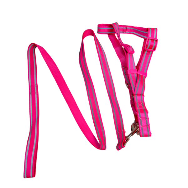 Sada reflexního vodítka s postrojem pro psy (postroj 45-55 cm) - Obrázek 13