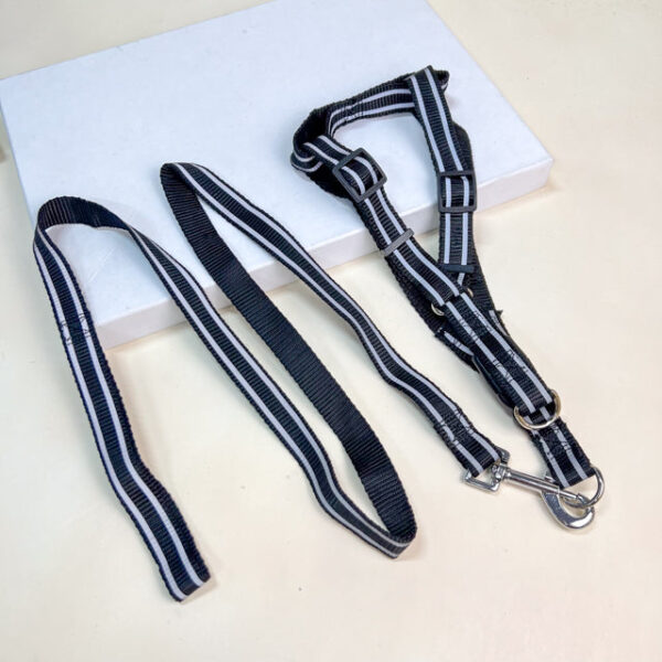 Sada reflexního vodítka s postrojem pro psy (postroj 45-55 cm) - Obrázek 3