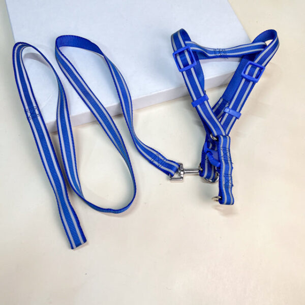 Sada reflexního vodítka s postrojem pro psy (postroj 45-55 cm) - Obrázek 2