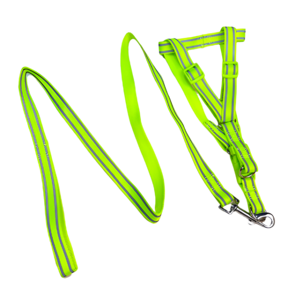 Sada reflexního vodítka s postrojem pro psy (postroj 45-55 cm) - Obrázek 14