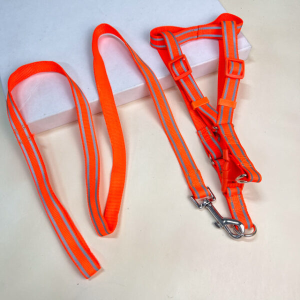 Sada reflexního vodítka s postrojem pro psy (postroj 45-55 cm) - Obrázek 4