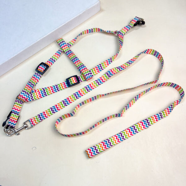 Sada voditka s postrojem (obvod postroje 30-50 cm) - Obrázek 1