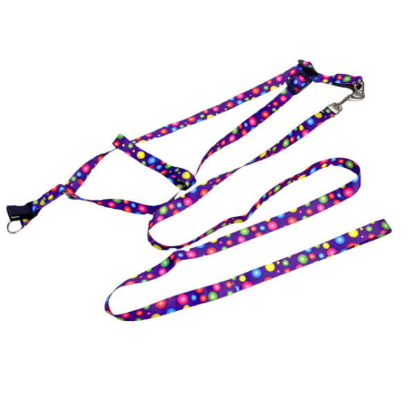 Sada voditka s postrojem (obvod postroje 30-50 cm) - Obrázek 6