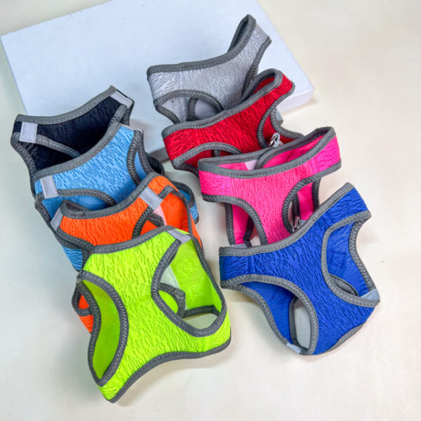 Postroj pro zvířata L - Obrázek 2