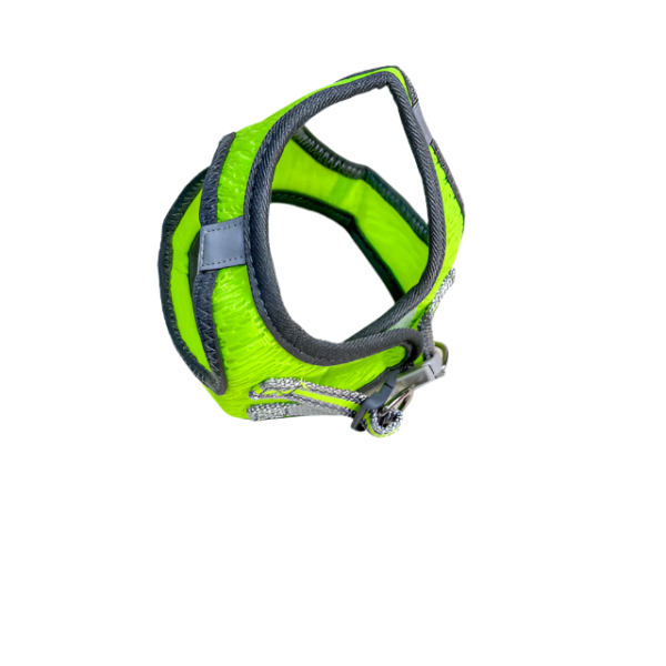 Postroj pro zvířata M - Obrázek 15